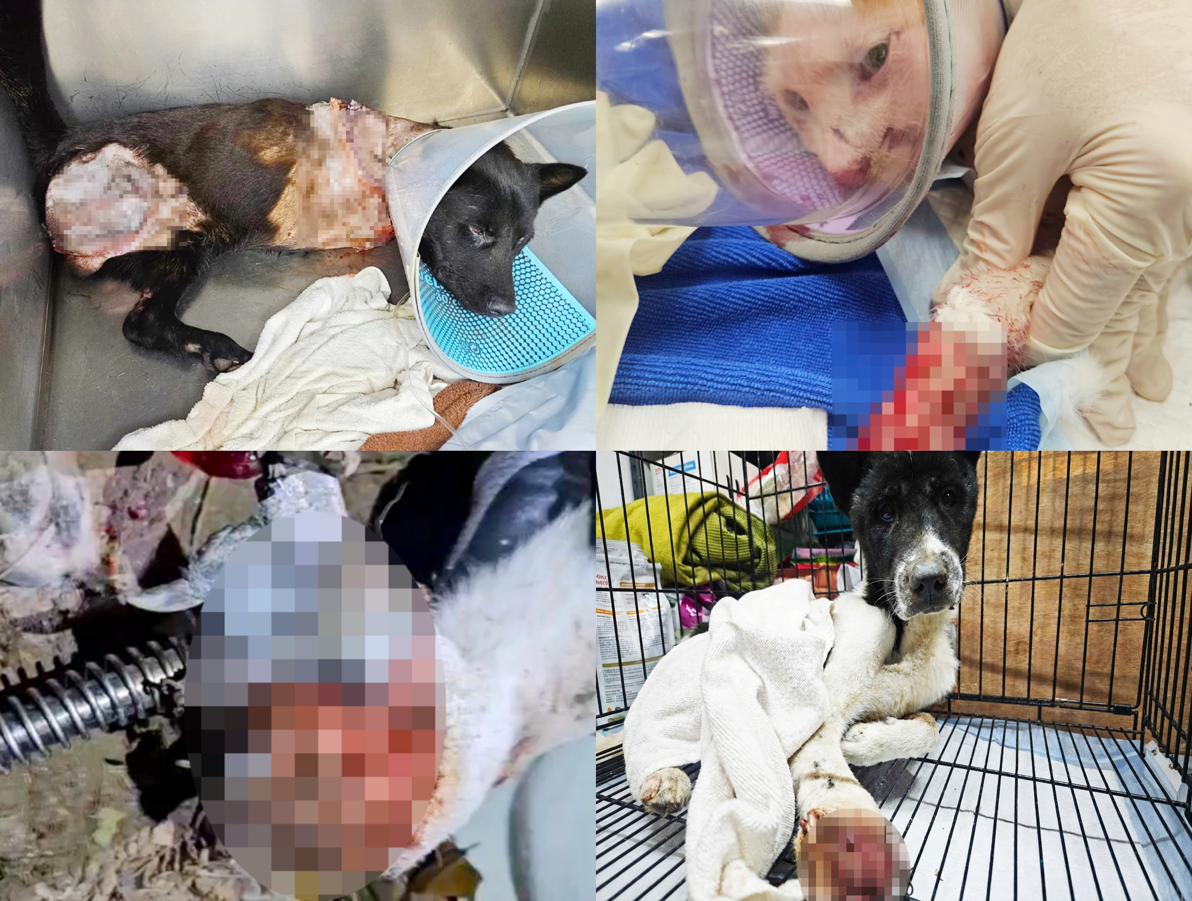 Government s Work in Combating